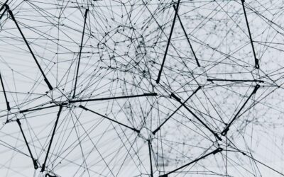 Het Mycelium Netwerk: Een Digitaal Ecosysteem voor Samenwerking en Openheid